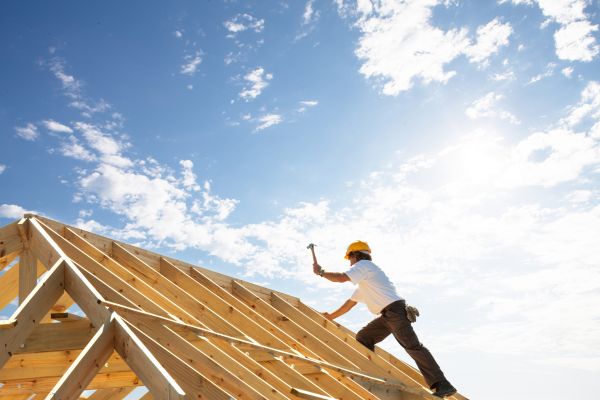 Professional Roof Construction