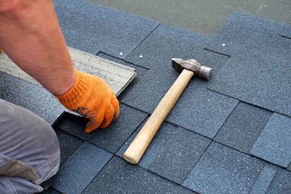 Professional Roof Service