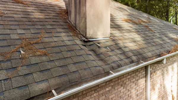 Professional Roof Water Leak Detection
